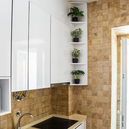 Casa Ribeiro - Tropical 公寓